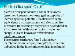 ElectronTransportChain
Electron transport chain is a chain of catalysts
(enzymes & coenzymes )arranged in stepwise of
increasing redox potential. It collects reducing
equivalents (hydrogen atoms and electrons) from
substrates transferring it stepwise to be oxidized in
a final reaction with oxygen to form water and
energy. It is also known as redox chain or
respiratory chain
The electron carrier are found withinfour
membrane-bound enzyme-complexes, which are
imbedded in the inner mitochondrial membrane
 