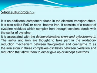 5-Iron sulfur protein :-
It is an additional component found in the electron transport chain.
It is also called FeS or none- haeme iron. It consists of a cluster of
cysteine residues which complex iron through covalent bonds with
the sulfur of cysteine.
It is associated with the flavoproteins(FAD &FMN) and cytochrome b.
The sulfur and iron are thought to take part in the oxidation-
reduction mechanism between flavoprotein and coenzyme Q as
the iron atom in these complexes oscillates between oxidation and
reduction that allow them to either give up or accept electrons.
 