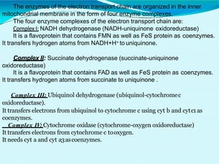 The enzymes of the electron transport chain are organized in the inner
mitochondrial membrane in the form of four enzyme complexes.
The four enzyme complexes of the electron transport chain are:
Complex I: NADH dehydrogenase (NADH-uniquinone oxidoreductase)
It is a flavoprotein that contains FMN as well as FeS protein as coenzymes.
It transfers hydrogen atoms from NADH+H+ to uniquinone.
Complex II: Succinate dehydrogenase (succinate-uniquinone
oxidoreductase)
It is a flavoprotein that contains FAD as well as FeS protein as coenzymes.
It transfers hydrogen atoms from succinate to uniquinone .
Complex III: Ubiquinol dehydrogenase (ubiquinol-cytochromec
oxidoreductase).
It transfers electrons from ubiquinol to cytochrome c using cyt b and cytc1as
coenzymes.
Complex IV: Cytochrome oxidase (cytochrome-oxygen oxidoreductase)
It transfers electrons from cytochrome c tooxygen.
It needs cyt a and cyt a3ascoenzymes.
 