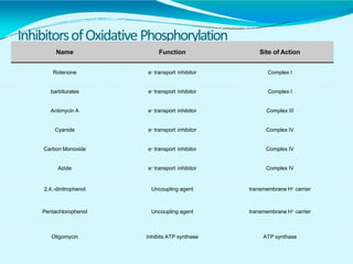 InhibitorsofOxidativePhosphorylation
Name Function Site of Action
Rotenone e– transport inhibitor Complex I
barbiturates e– transport inhibitor Complex I
Antimycin A e– transport inhibitor Complex III
Cyanide e– transport inhibitor Complex IV
Carbon Monoxide e– transport inhibitor Complex IV
Azide e– transport inhibitor Complex IV
2,4,-dinitrophenol Uncoupling agent transmembrane H+ carrier
Pentachlorophenol Uncoupling agent transmembrane H+ carrier
Oligomycin Inhibits ATP synthase ATP synthase
 