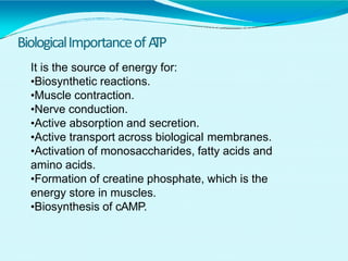 BiologicalImportanceofATP
It is the source of energy for:
•Biosynthetic reactions.
•Muscle contraction.
•Nerve conduction.
•Active absorption and secretion.
•Active transport across biological membranes.
•Activation of monosaccharides, fatty acids and
amino acids.
•Formation of creatine phosphate, which is the
energy store in muscles.
•Biosynthesis of cAMP.
 