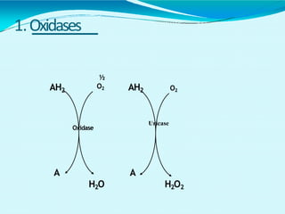 1.Oxidases
AH2
A
H2O2
AH2
A
H2O
Oxidase
Uricase
½
O2 O2
 