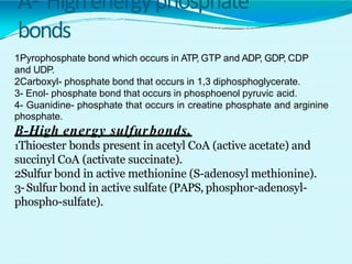 A- Highenergyphosphate
bonds
1Pyrophosphate bond which occurs in ATP, GTP and ADP, GDP, CDP
and UDP.
2Carboxyl- phosphate bond that occurs in 1,3 diphosphoglycerate.
3- Enol- phosphate bond that occurs in phosphoenol pyruvic acid.
4- Guanidine- phosphate that occurs in creatine phosphate and arginine
phosphate.
B-High energy sulfurbonds.
1Thioester bonds present in acetyl CoA (active acetate) and
succinyl CoA (activate succinate).
2Sulfur bond in active methionine (S-adenosyl methionine).
3-Sulfur bond in active sulfate (PAPS, phosphor-adenosyl-
phospho-sulfate).
 