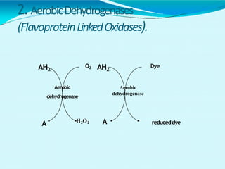 2.AerobicDehydrogenases
(FlavoproteinLinkedOxidases).
AH2
A
AH2
A
Aerobic
dehydrogenase
Aerobic
dehydrogenase
O2 Dye
reduceddyeH2O2
 