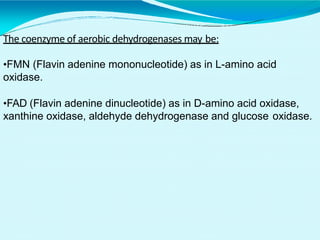 The coenzyme of aerobic dehydrogenases may be:
•FMN (Flavin adenine mononucleotide) as in L-amino acid
oxidase.
•FAD (Flavin adenine dinucleotide) as in D-amino acid oxidase,
xanthine oxidase, aldehyde dehydrogenase and glucose oxidase.
 