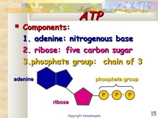 15
ATPATP
 Components:Components:
1. adenine: nitrogenous base1. adenine: nitrogenous base
2. ribose:2. ribose: five carbon sugarfive carbon sugar
3.phosphate group: chain of 33.phosphate group: chain of 3
riboseribose
adenineadenine
P P P
phosphate groupphosphate group
Copyright Cmassengale
 