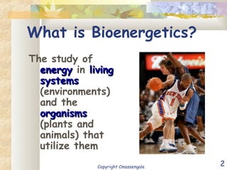 2
What is Bioenergetics?
The study of
energyenergy in livingliving
systemssystems
(environments)
and the
organismsorganisms
(plants and
animals) that
utilize them
Copyright Cmassengale
 