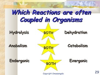 29
Which Reactions are oftenWhich Reactions are often
Coupled in OrganismsCoupled in Organisms
HydrolysisHydrolysis oror DehydrationDehydration
AnabolismAnabolism or Catabolismor Catabolism
EndergonicEndergonic oror ExergonicExergonic
BOTHBOTH
BOTHBOTH
BOTHBOTH
Copyright Cmassengale
 