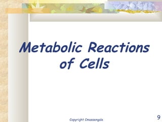 9
Metabolic Reactions
of Cells
Copyright Cmassengale
 