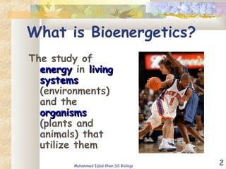 2
What is Bioenergetics?
The study of
energyenergy in livingliving
systemssystems
(environments)
and the
organismsorganisms
(plants and
animals) that
utilize them
Muhammad Iqbal Khan SS Biology
 