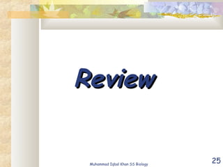 25
ReviewReview
Muhammad Iqbal Khan SS Biology
 