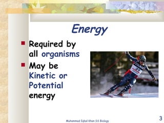3
Energy
 Required by
all organisms
 May be
Kinetic or
Potential
energy
Muhammad Iqbal Khan SS Biology
 