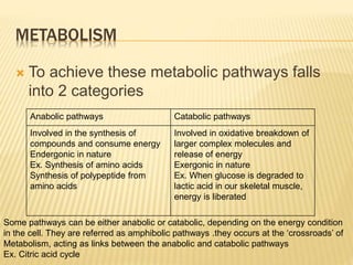 METABOLISM
 To achieve these metabolic pathways falls
into 2 categories
Anabolic pathways Catabolic pathways
Involved in the synthesis of
compounds and consume energy
Endergonic in nature
Ex. Synthesis of amino acids
Synthesis of polypeptide from
amino acids
Involved in oxidative breakdown of
larger complex molecules and
release of energy
Exergonic in nature
Ex. When glucose is degraded to
lactic acid in our skeletal muscle,
energy is liberated
Some pathways can be either anabolic or catabolic, depending on the energy condition
in the cell. They are referred as amphibolic pathways .they occurs at the ‘crossroads’ of
Metabolism, acting as links between the anabolic and catabolic pathways
Ex. Citric acid cycle
 