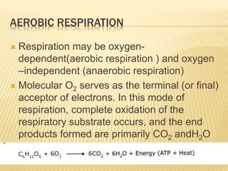 AEROBIC RESPIRATION
 Respiration may be oxygen-
dependent(aerobic respiration ) and oxygen
–independent (anaerobic respiration)
 Molecular O2 serves as the terminal (or final)
acceptor of electrons. In this mode of
respiration, complete oxidation of the
respiratory substrate occurs, and the end
products formed are primarily CO2 andH2O
 