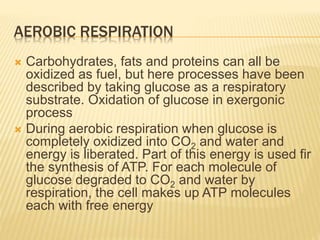 AEROBIC RESPIRATION
 Carbohydrates, fats and proteins can all be
oxidized as fuel, but here processes have been
described by taking glucose as a respiratory
substrate. Oxidation of glucose in exergonic
process
 During aerobic respiration when glucose is
completely oxidized into CO2 and water and
energy is liberated. Part of this energy is used fir
the synthesis of ATP. For each molecule of
glucose degraded to CO2 and water by
respiration, the cell makes up ATP molecules
each with free energy
 