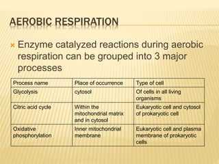 AEROBIC RESPIRATION
 Enzyme catalyzed reactions during aerobic
respiration can be grouped into 3 major
processes
Process name Place of occurrence Type of cell
Glycolysis cytosol Of cells in all living
organisms
Citric acid cycle Within the
mitochondrial matrix
and in cytosol
Eukaryotic cell and cytosol
of prokaryotic cell
Oxidative
phosphorylation
Inner mitochondrial
membrane
Eukaryotic cell and plasma
membrane of prokaryotic
cells
 