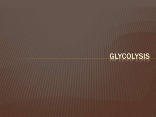 GLYCOLYSIS
 