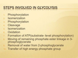 STEPS INVOLVED IN GLYCOLYSIS
1. Phosphorylation
2. Isomerization
3. Phosphorylation
4. Cleavage
5. Isomerization
6. Oxidation
7. Formation of ATP(substrate- level phosphorylation)
8. Moving of remaining phosphate ester linkage in 3-
phosphoglycerate
9. Removal of water from 2-phosphoglycerate
10. Transfer of high energy phosphate group
 
