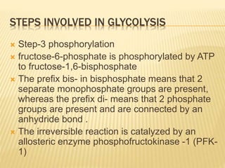 STEPS INVOLVED IN GLYCOLYSIS
 Step-3 phosphorylation
 fructose-6-phosphate is phosphorylated by ATP
to fructose-1,6-bisphosphate
 The prefix bis- in bisphosphate means that 2
separate monophosphate groups are present,
whereas the prefix di- means that 2 phosphate
groups are present and are connected by an
anhydride bond .
 The irreversible reaction is catalyzed by an
allosteric enzyme phosphofructokinase -1 (PFK-
1)
 