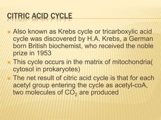 CITRIC ACID CYCLE
 Also known as Krebs cycle or tricarboxylic acid
cycle was discovered by H.A. Krebs, a German
born British biochemist, who received the noble
prize in 1953
 This cycle occurs in the matrix of mitochondria(
cytosol in prokaryotes)
 The net result of citric acid cycle is that for each
acetyl group entering the cycle as acetyl-coA,
two molecules of CO2 are produced
 