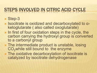 STEPS INVOLVED IN CITRIC ACID CYCLE
 Step-3
 Isocitrate is oxidized and decarboxylated to α-
ketoglutarate ( also called oxoglutarate)
 In first of four oxidation steps in the cycle, the
carbon carrying the hydroxyl group is converted
to a carbonyl group
 The intermediate product is unstable, losing
CO2while still bound to the enzyme
 The oxidative decarboxylation of isocitrate is
catalyzed by isocitrate dehydrogenase
 