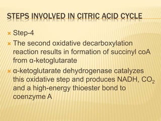 STEPS INVOLVED IN CITRIC ACID CYCLE
 Step-4
 The second oxidative decarboxylation
reaction results in formation of succinyl coA
from α-ketoglutarate
 α-ketoglutarate dehydrogenase catalyzes
this oxidative step and produces NADH, CO2
and a high-energy thioester bond to
coenzyme A
 