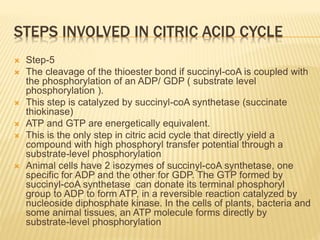 STEPS INVOLVED IN CITRIC ACID CYCLE
 Step-5
 The cleavage of the thioester bond if succinyl-coA is coupled with
the phosphorylation of an ADP/ GDP ( substrate level
phosphorylation ).
 This step is catalyzed by succinyl-coA synthetase (succinate
thiokinase)
 ATP and GTP are energetically equivalent.
 This is the only step in citric acid cycle that directly yield a
compound with high phosphoryl transfer potential through a
substrate-level phosphorylation
 Animal cells have 2 isozymes of succinyl-coA synthetase, one
specific for ADP and the other for GDP. The GTP formed by
succinyl-coA synthetase can donate its terminal phosphoryl
group to ADP to form ATP, in a reversible reaction catalyzed by
nucleoside diphosphate kinase. In the cells of plants, bacteria and
some animal tissues, an ATP molecule forms directly by
substrate-level phosphorylation
 