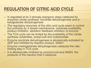 REGULATION OF CITRIC ACID CYCLE
 Is regulated at its 3 strongly exergonic steps catalyzed by
enzymes citrate synthase, isocitrate dehydrogenase and α-
ketoglutarate dehydrogenase
 The regulatory enzymes of the citric acid cycle seem to control
flux primarily by 3 simple mechanisms- substrate availability,
product inhibition, allosteric feedback inhibition of enzyme
 The TCA cycle can be limited by the availability of the citrate
synthase substrates, acetyl-coA and oxaloacetate
 Enzyme isocitrate dehydrogenase is allosterically activated by
ADP and inhibited by reaction product, NADH
 Enzyme α-ketoglutarate dehydrogenase catalyzes the rate-
limiting step in TCA cycle
 It is allosterically inhibited by succinyl-coA and NADH, the
products of the reaction that it catalyzes
 
