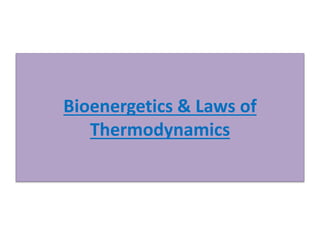 Bioenergetics & Laws of 
Thermodynamics 
 