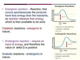 bioenergetics Role of ATP .pptx