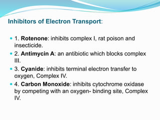 Bioenergetics [autosaved] | PPTX