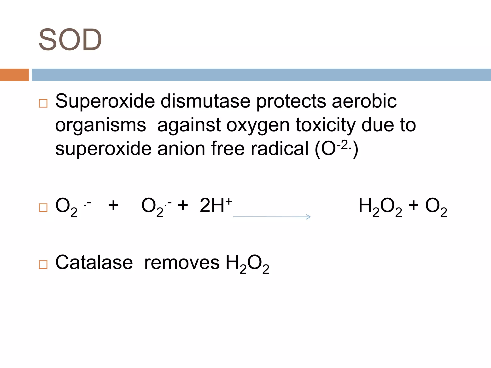 Bioenergetics | PPTX
