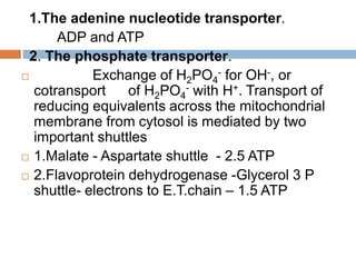 1.The adenine nucleotide transporter.
ADP and ATP
2. The phosphate transporter.
 Exchange of H2PO4
- for OH-, or
cotransport of H2PO4
- with H+. Transport of
reducing equivalents across the mitochondrial
membrane from cytosol is mediated by two
important shuttles
 1.Malate - Aspartate shuttle - 2.5 ATP
 2.Flavoprotein dehydrogenase -Glycerol 3 P
shuttle- electrons to E.T.chain – 1.5 ATP
 