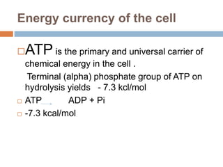 Energy currency of the cell
ATP is the primary and universal carrier of
chemical energy in the cell .
Terminal (alpha) phosphate group of ATP on
hydrolysis yields - 7.3 kcl/mol
 ATP ADP + Pi
 -7.3 kcal/mol
 