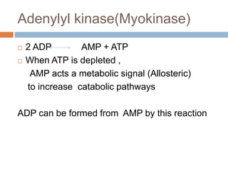 Adenylyl kinase(Myokinase)
 2 ADP AMP + ATP
 When ATP is depleted ,
AMP acts a metabolic signal (Allosteric)
to increase catabolic pathways
ADP can be formed from AMP by this reaction
 