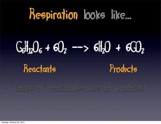 Bioenergetics (Photosynthesis And Respiration Overview) | PDF