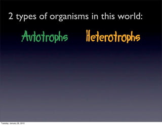 Bioenergetics ppt picture