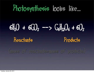 Bioenergetics examples picture