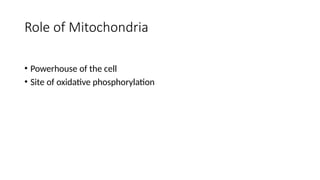 Role of Mitochondria
• Powerhouse of the cell
• Site of oxidative phosphorylation
 