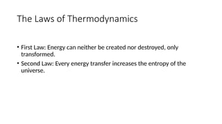 The Laws of Thermodynamics
• First Law: Energy can neither be created nor destroyed, only
transformed.
• Second Law: Every energy transfer increases the entropy of the
universe.
 