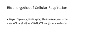 Bioenergetics of Cellular Respiration
• Stages: Glycolysis, Krebs cycle, Electron transport chain
• Net ATP production: ~36-38 ATP per glucose molecule
 