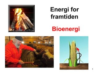 Energi for
framtiden

Bioenergi




             1
 