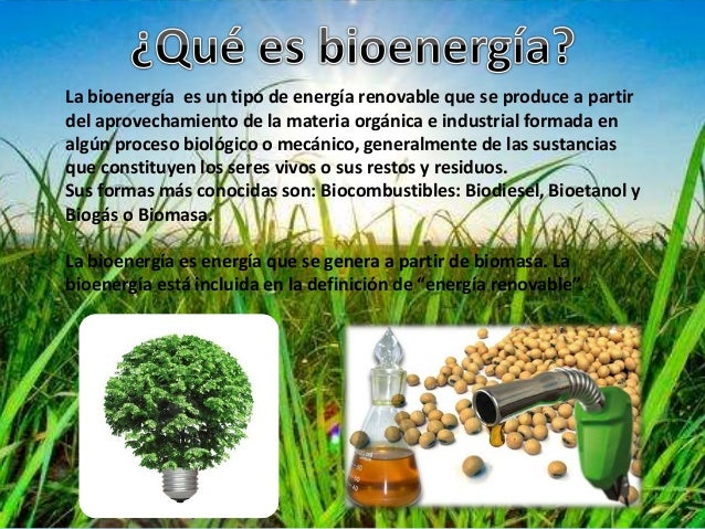 Bioenergia