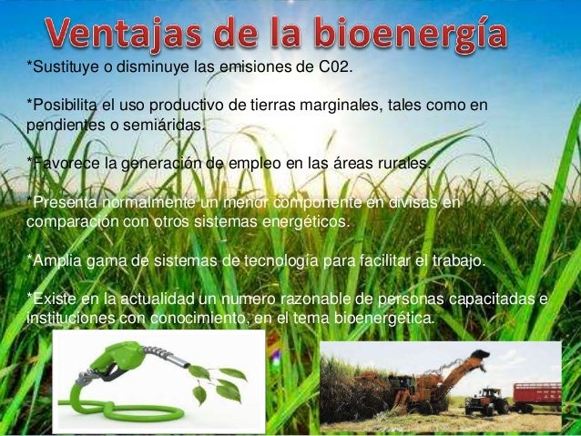 Bioenergia