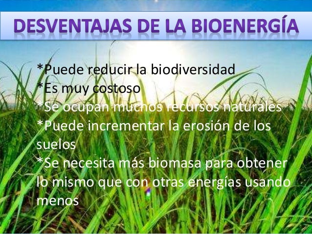 Bioenergia