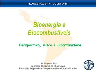 Luis Felipe Duhart
Ex-Oficial Regional de Bioenergia
Escritório Regional da FAO para América Latina e Caribe
Bioenergia e
Biocombustíveis
Perspectiva, Risco e Oportunidade
FLORESTAL, UFV – JULIO 2015
 