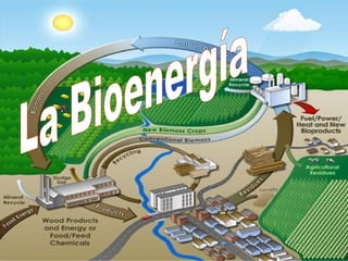 La Bioenergía 