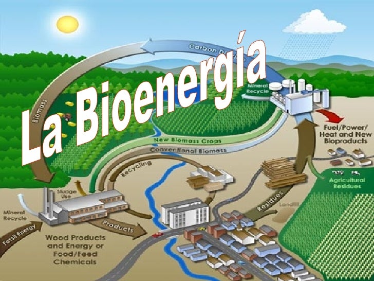 Bioenergia