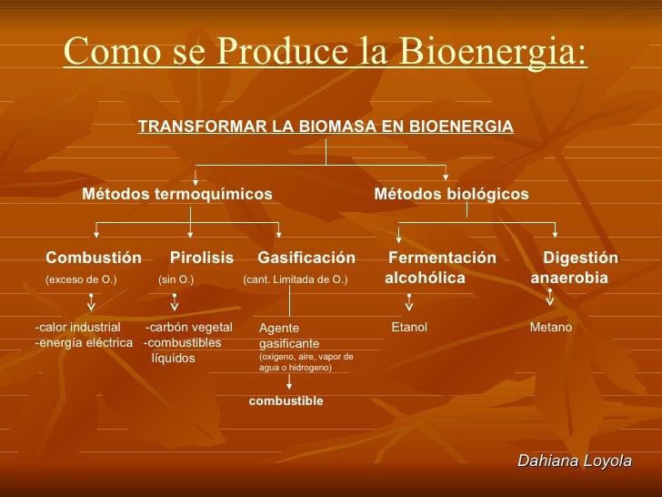 Bioenergia