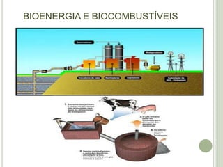 BIOENERGIA E BIOCOMBUSTÍVEIS
 